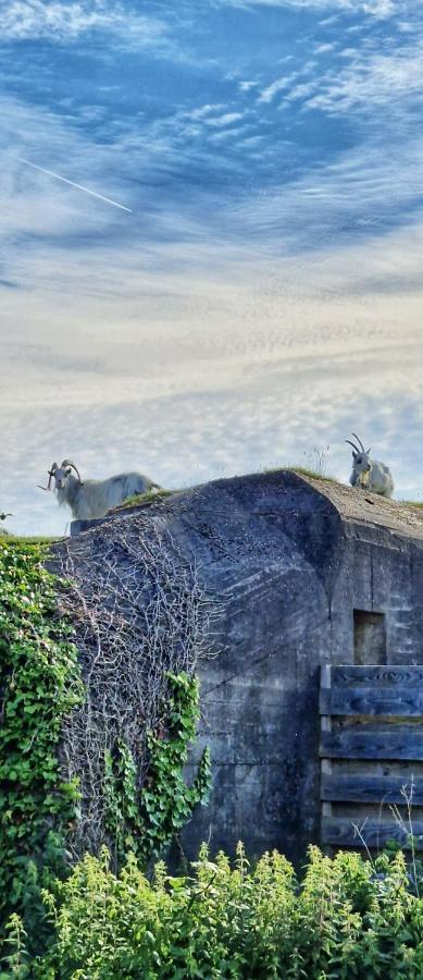 Vakantiehuis De Bunker Julianadorp Buitenkant foto